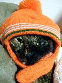 ニット帽